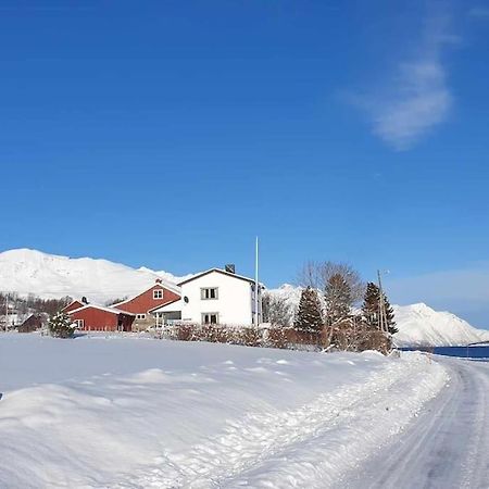 Traditional Farm House Located Close To Fjord Lyngseidet Exterior photo