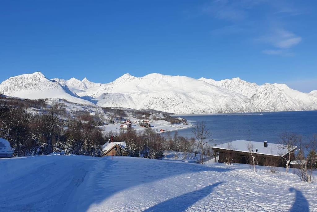 Traditional Farm House Located Close To Fjord Lyngseidet Exterior photo