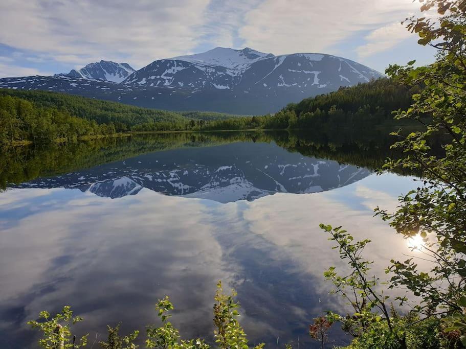 Traditional Farm House Located Close To Fjord Lyngseidet Exterior photo