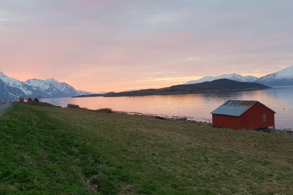 Traditional Farm House Located Close To Fjord Lyngseidet Exterior photo